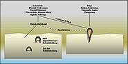 Einsatz von Fluoriden